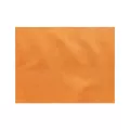 Set de table Orange Spunbond 30x40cm (8A00)